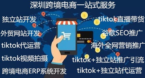 仓储软件开发与广告设计 现代企业运营的双翼